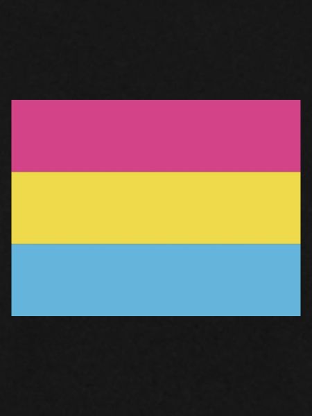 Pansexual Pride Flag