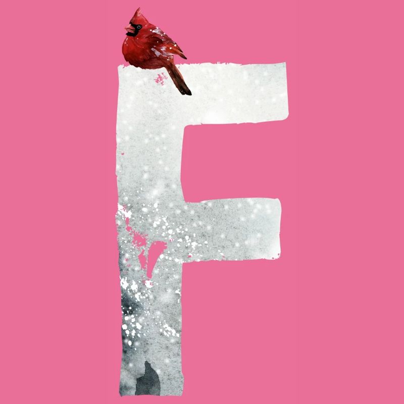 F – decorative character – winter