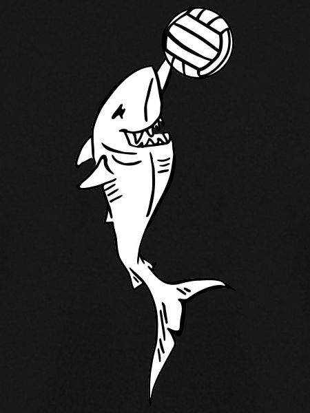 shark with volleyball