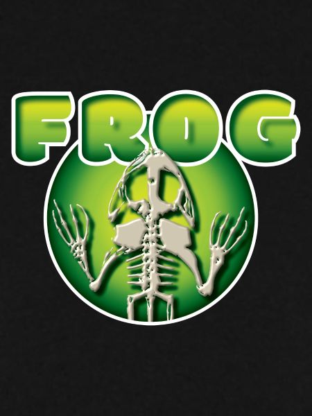 Froschskelett im Kreis 3