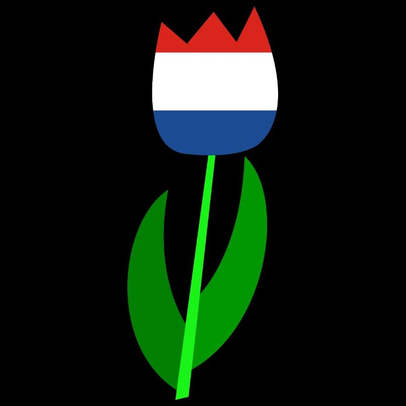 Niederlande Tulpen