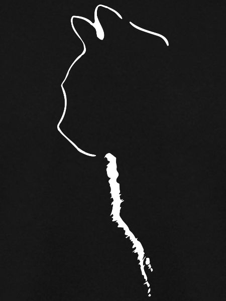 Katzen Silhouette