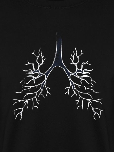 Bronchi lungs