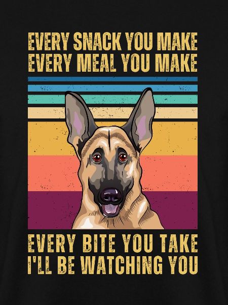 Watching German Shepherd