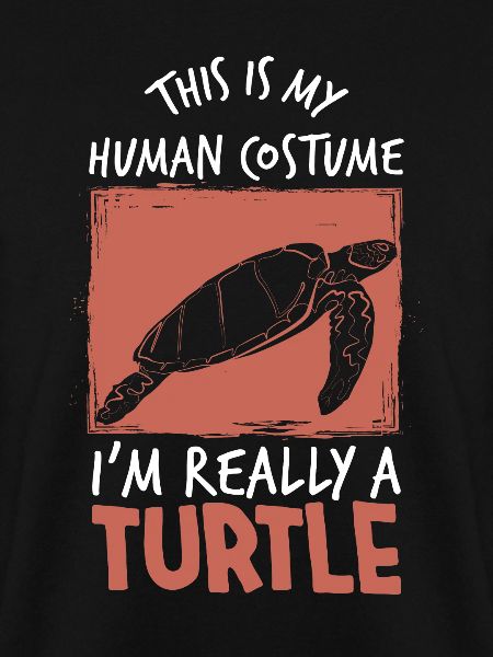 Schildkröte