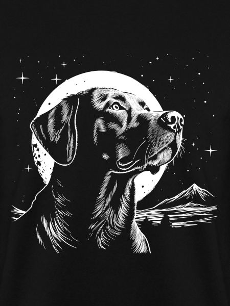 Labrador Mond Nr.2