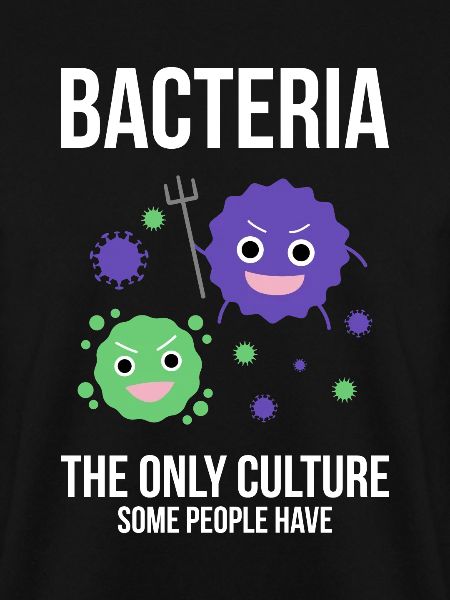 bacteria