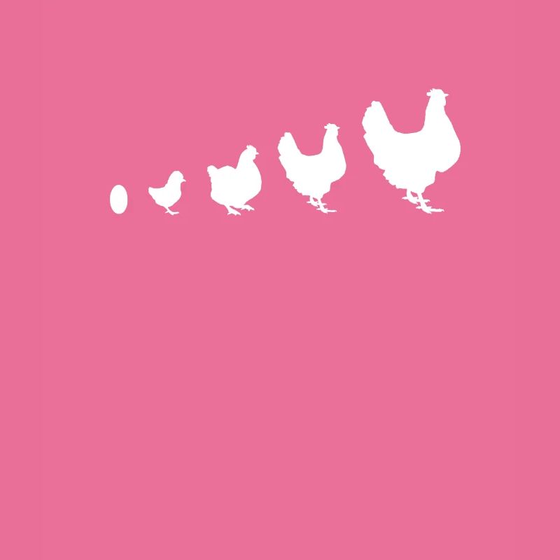 de l'œuf au poulet évolution poulets