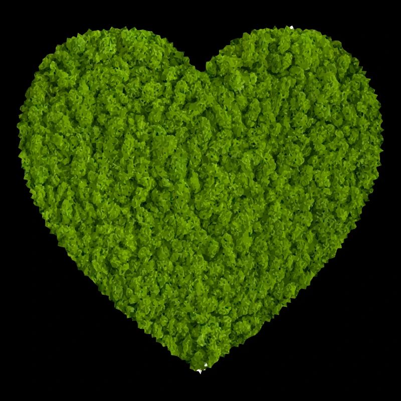 Coeur de mousse Nature Amour