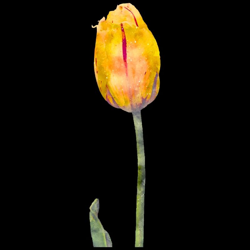 Couleurs d’eau fleurs printemps printemps tulipe