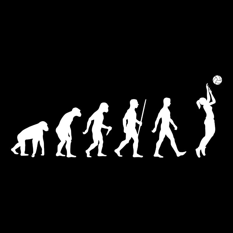 Volleyball Evolution