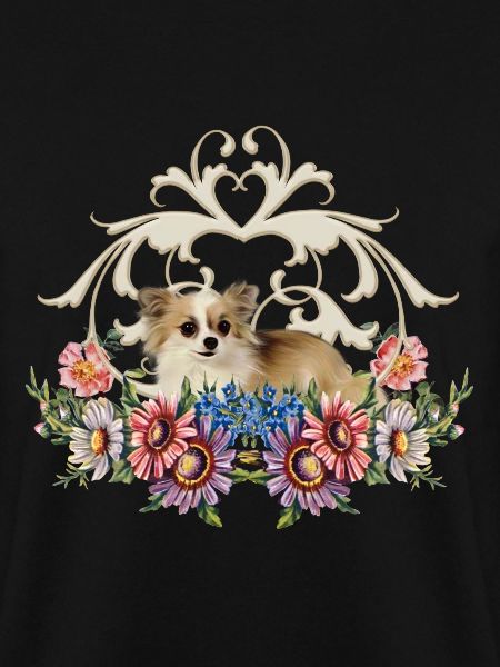 Linda chihuahua