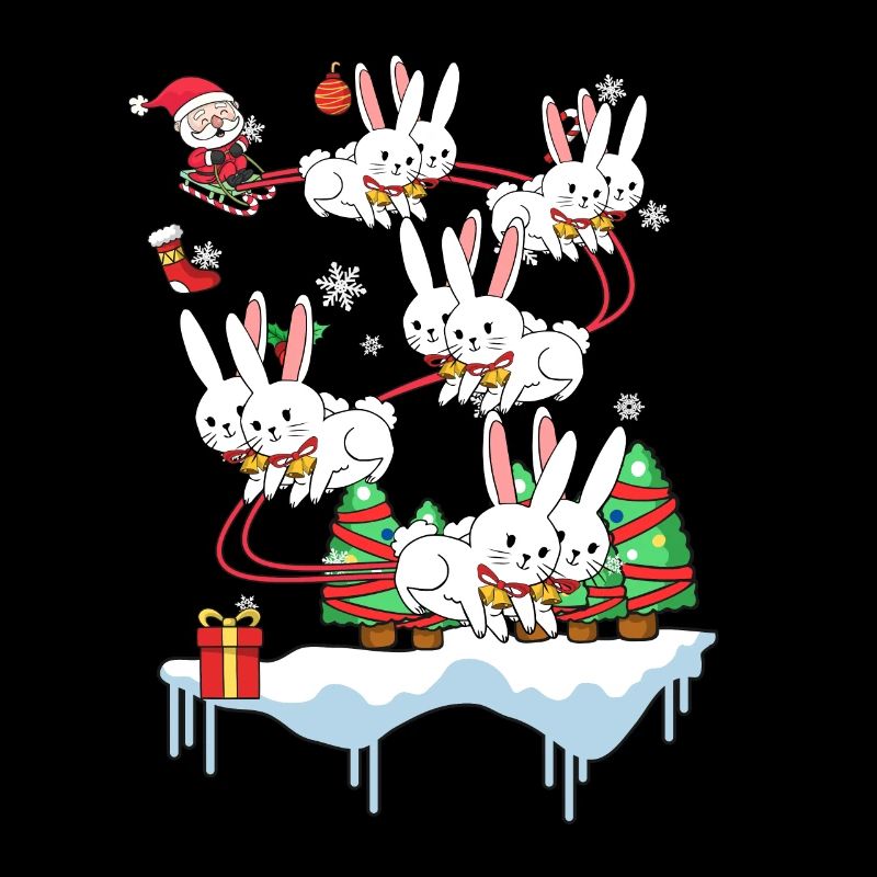 Rabbit rabbit Santa Claus Christmas gift