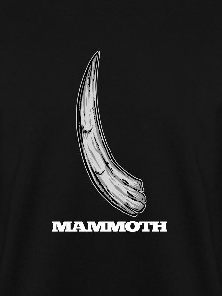 Mammut Elfenbein Stosszähne