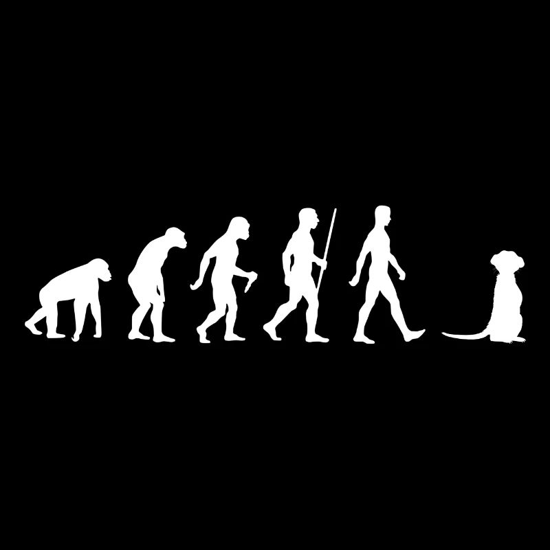 Erdmännchen Evolution Meerkat