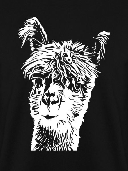 Lama Alpaca