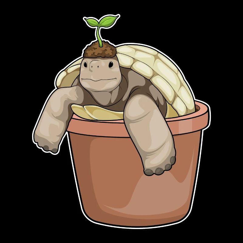 Schildkröte Setzling