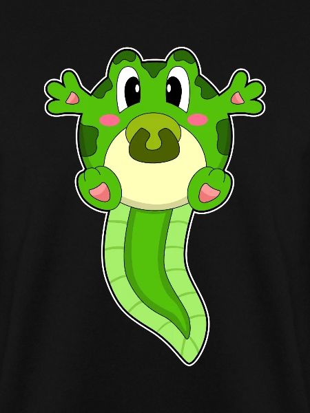 Frosch Baby Schnuller