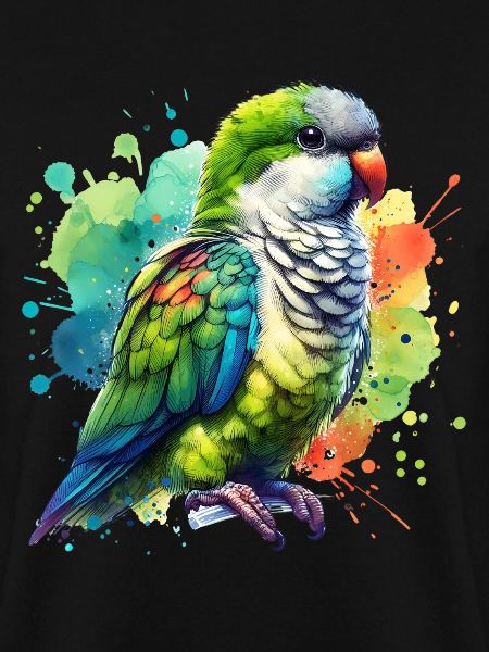 Monk Parakeet Gift