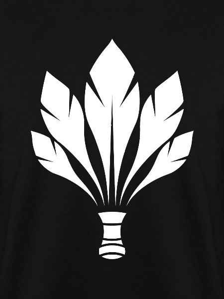 Badminton Federball