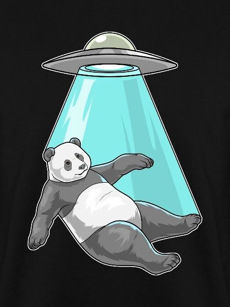 Panda Spaceship Space