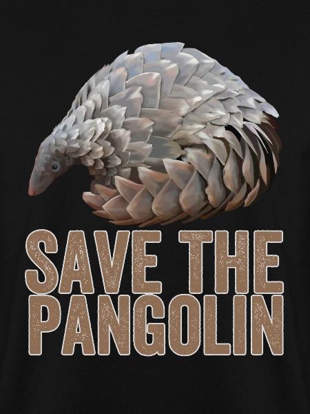 Save The Pangolin