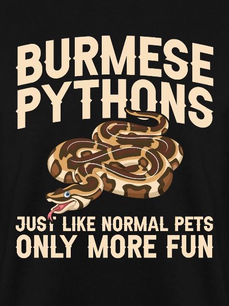 Burmesische Python liefert Schlangenliebhaber-Reptilienpfleger
