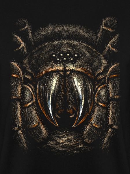Tarantula