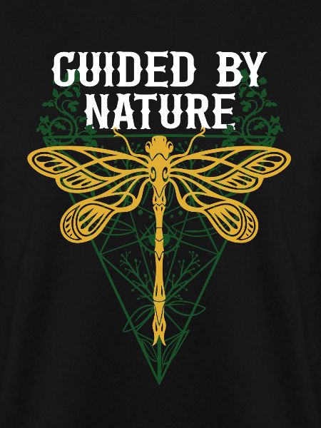 Libelle Libellen Guided By Nature