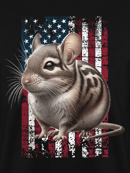 Degu US Degu