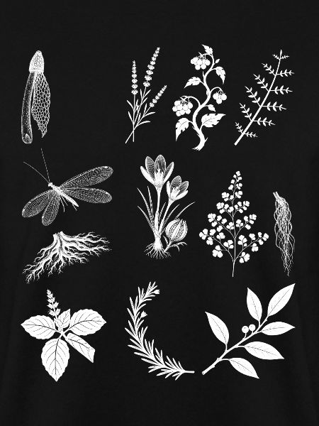 Kräuter & Baumwurzeln & Rosmarin - Dark Botanical