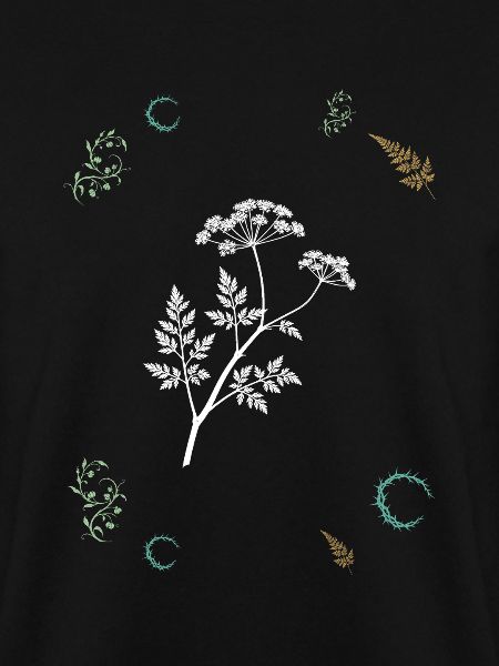 Doldenblume & Beerenranke - Botanische Kunst