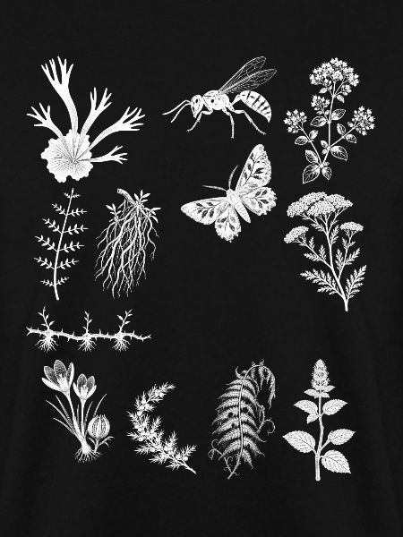 Kräuter & Wacholder & Farn - Botanische Kunst