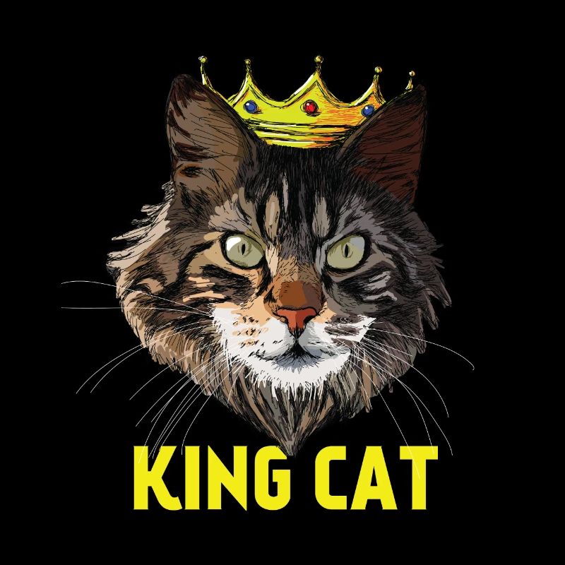 roi chat