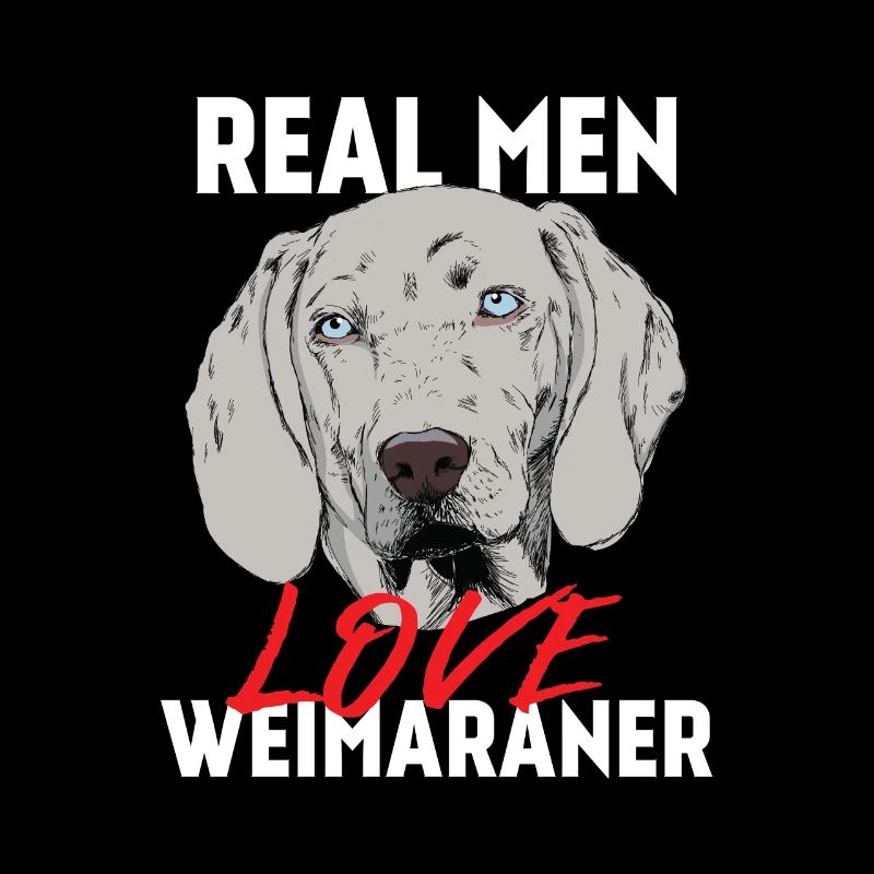 Chiens - Les vrais hommes aiment le weimaraner