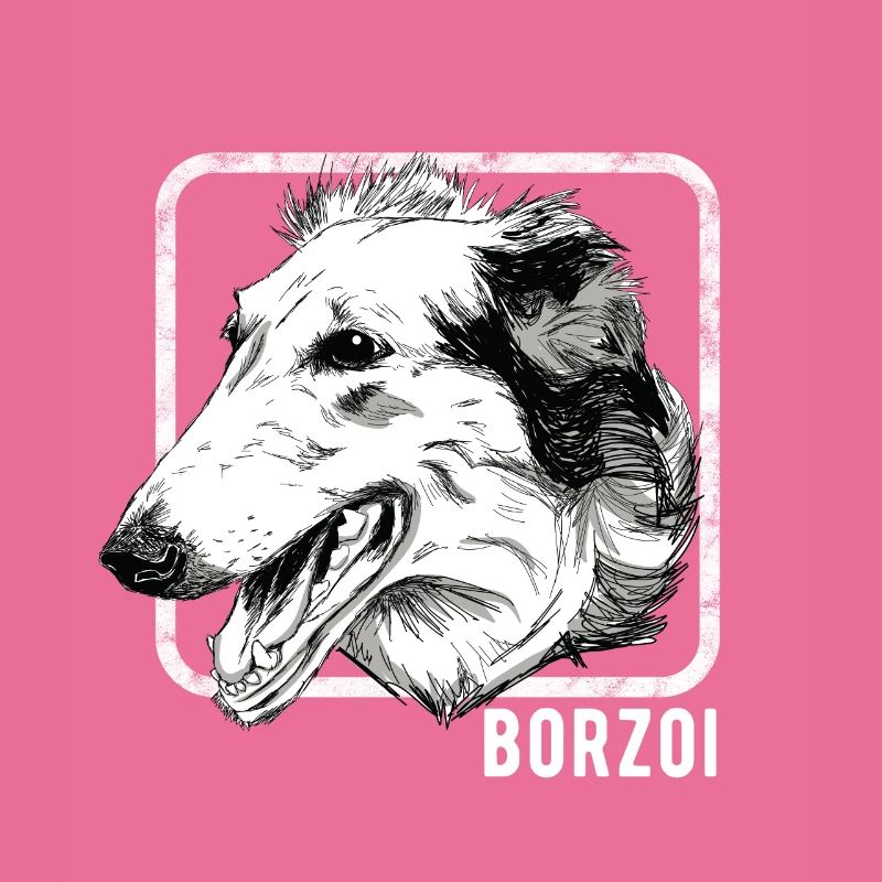 Hunde - Barsoi