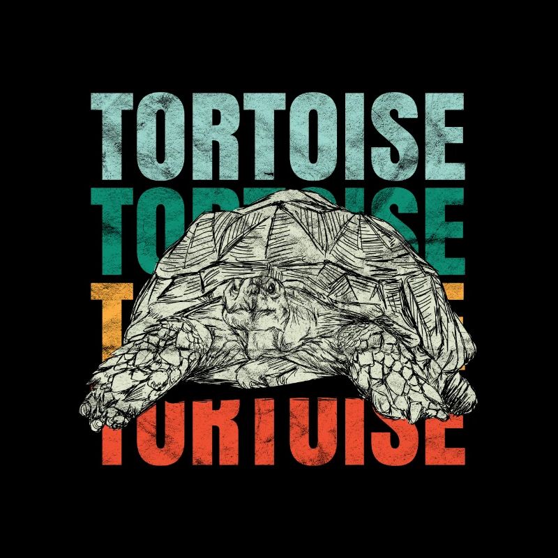 Turtle | Tortoise | Galapagos tortoise