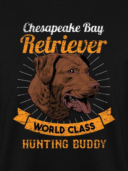 Chesapeake Bay Retriever