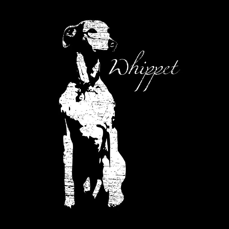 Whippet Windhund
