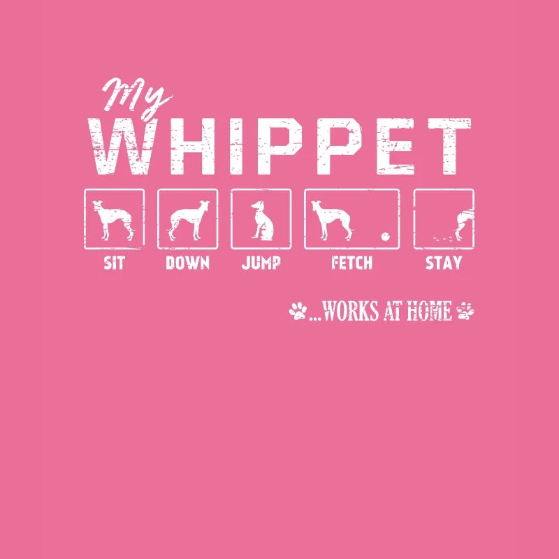 Mein Whippet