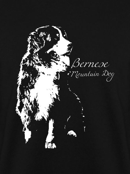 Bernese Mountain Dog