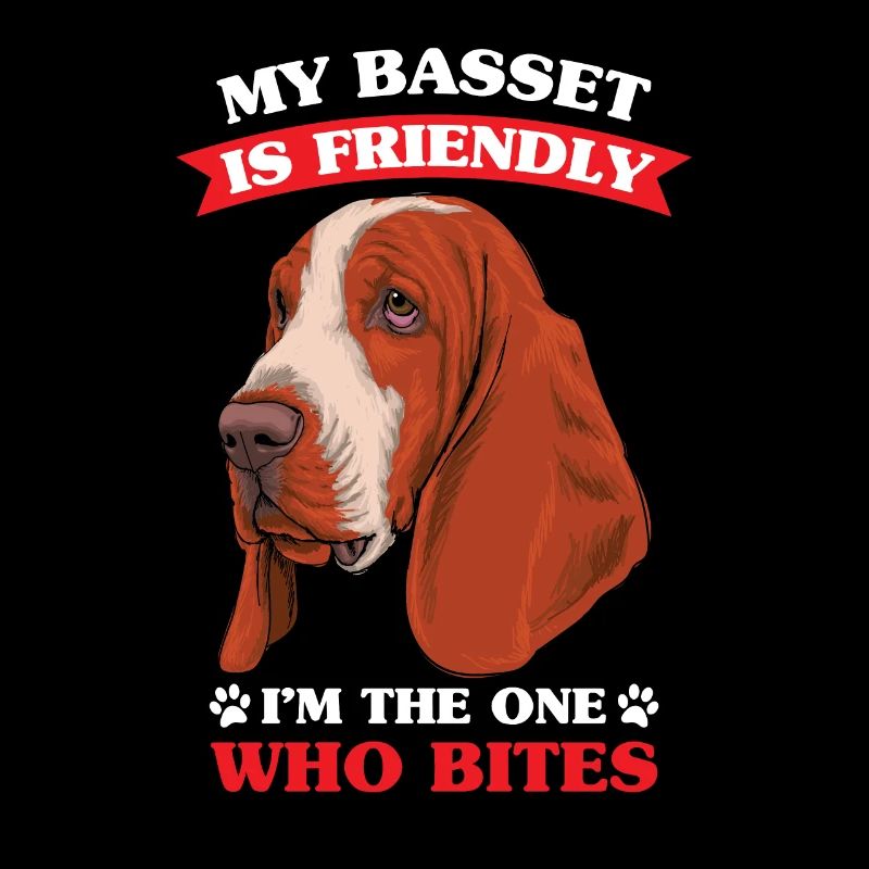 Basset Hound