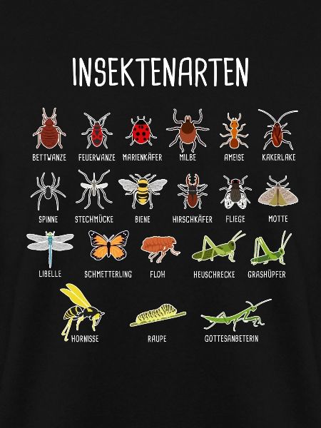 Insekten-Arten