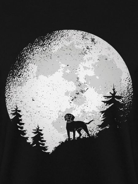 Bavarian mountain hound