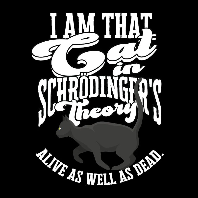 Schrodingers Katzentheorie Quantenphysik