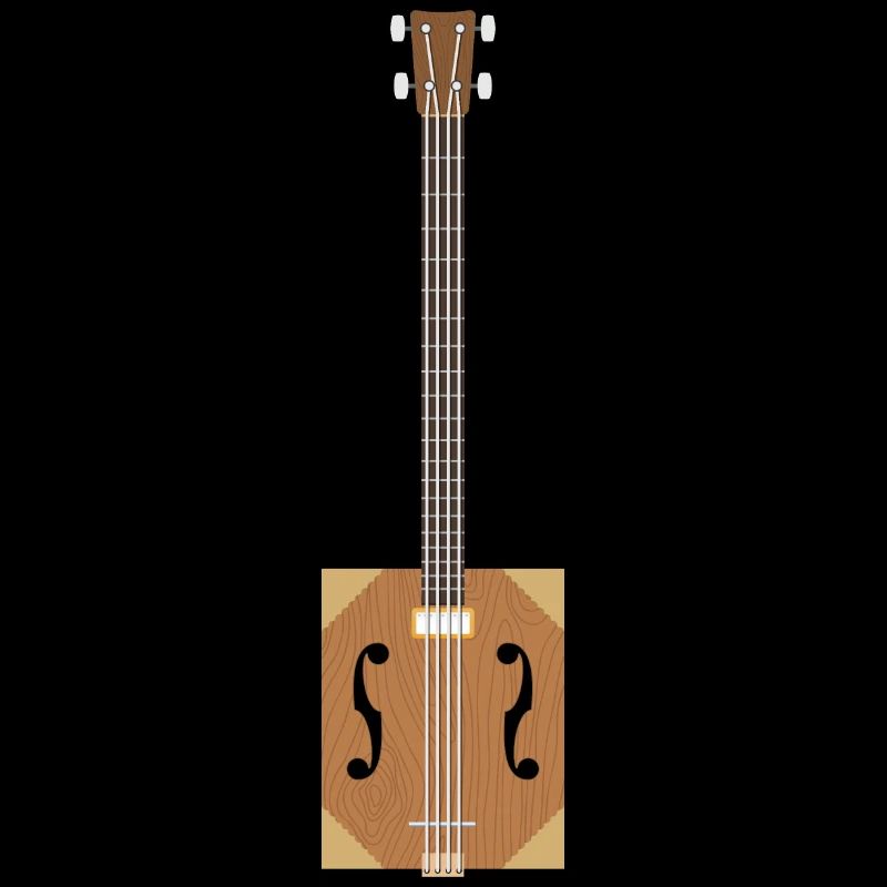 Cigar Box Guitar