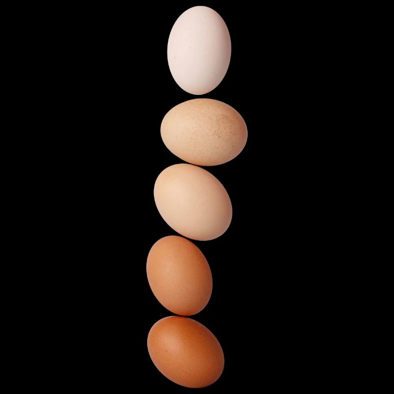 eggs pile tower