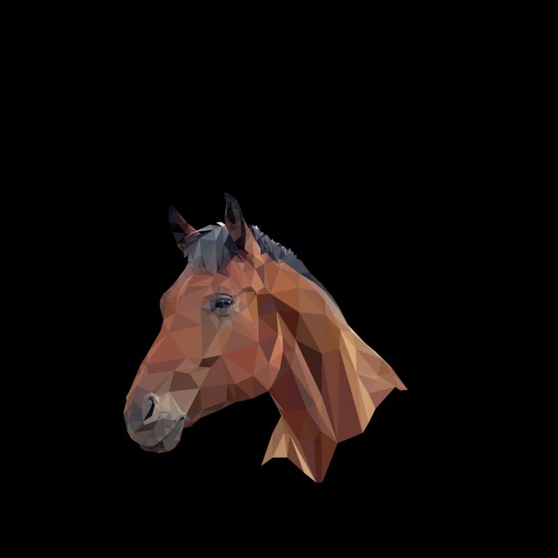 Horses