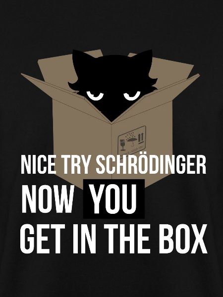 Schrödingers Katze - Quantenmechanik Physik