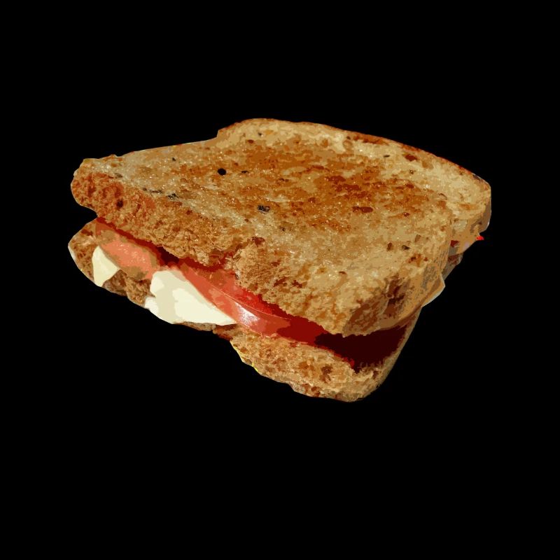 Toast Bread Shirt Gift Funny Design Funny